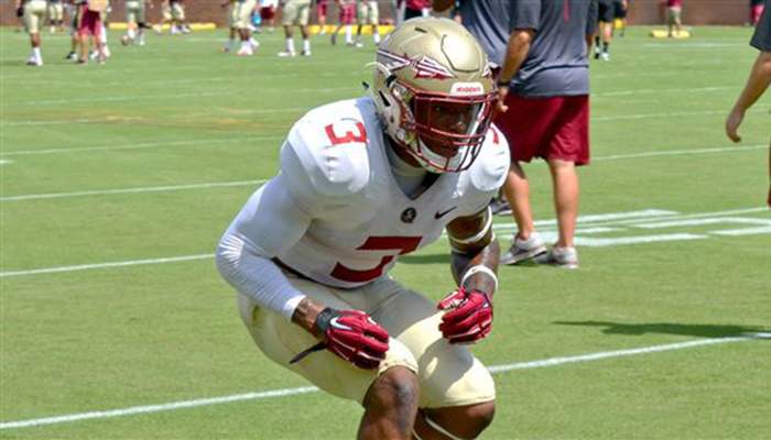 Safety Derwin James enrolled early at Florida State. (247Sports)